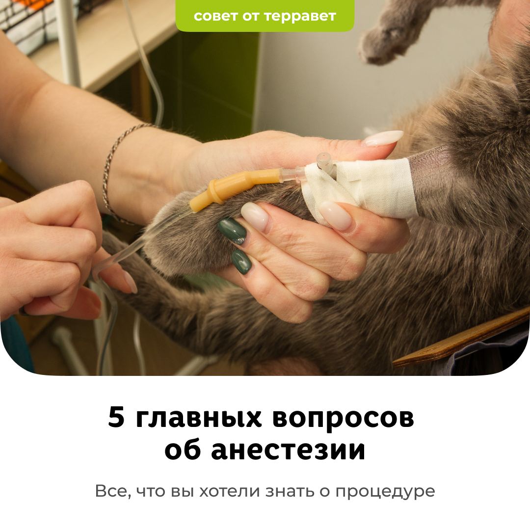 5 главных вопросов об анестезии