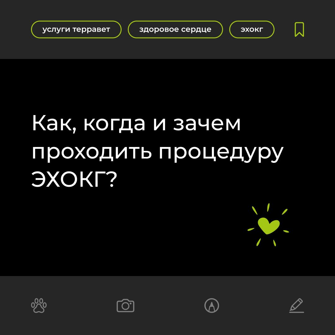 Как, когда и зачем проходить процедуру ЭХОКГ?