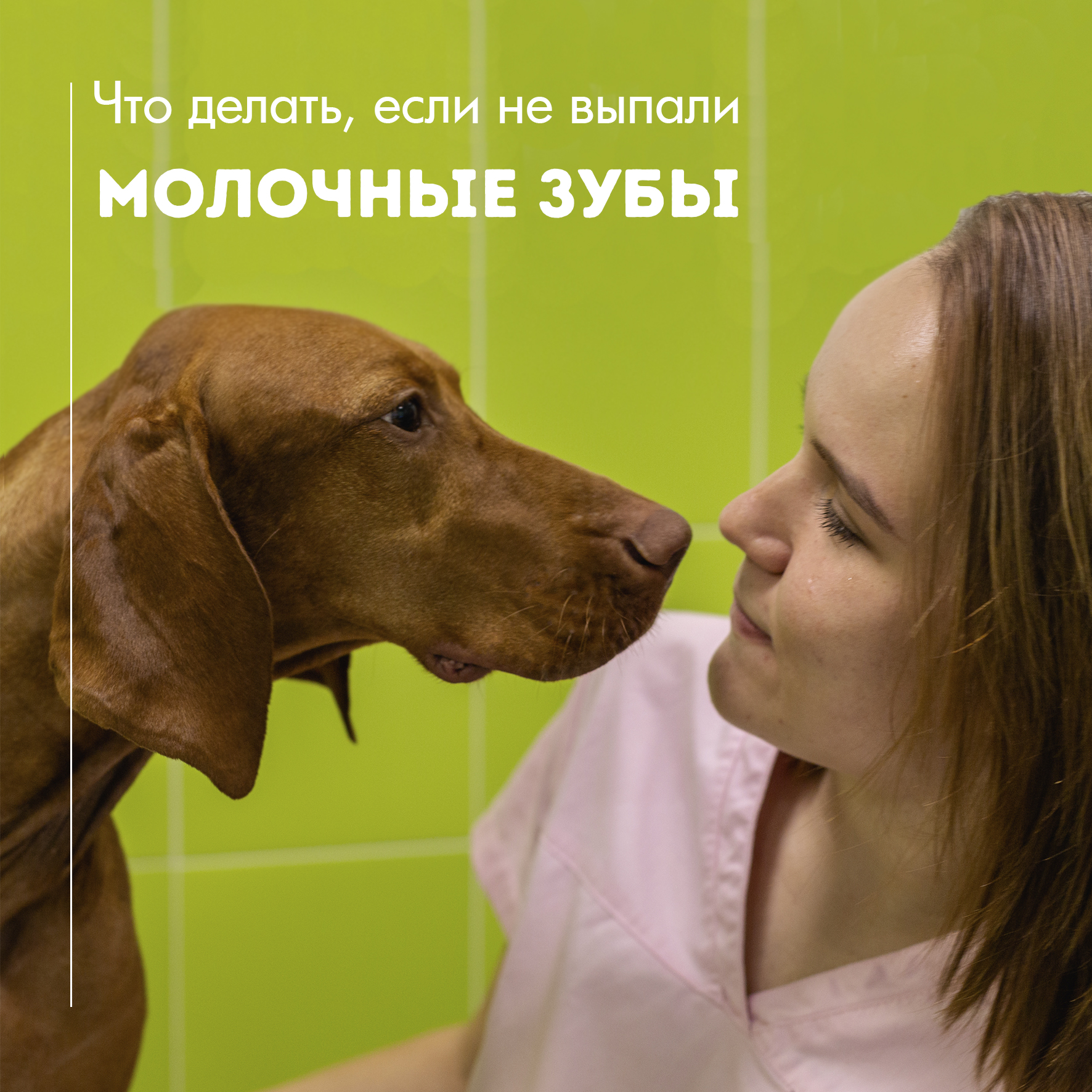 Не выпали молочные зубы: что делать?
