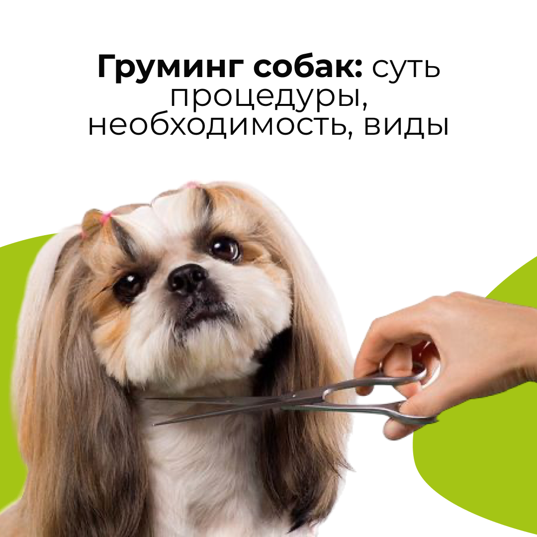Груминг собак - блог ТерраВЕТ - клиника 24/7