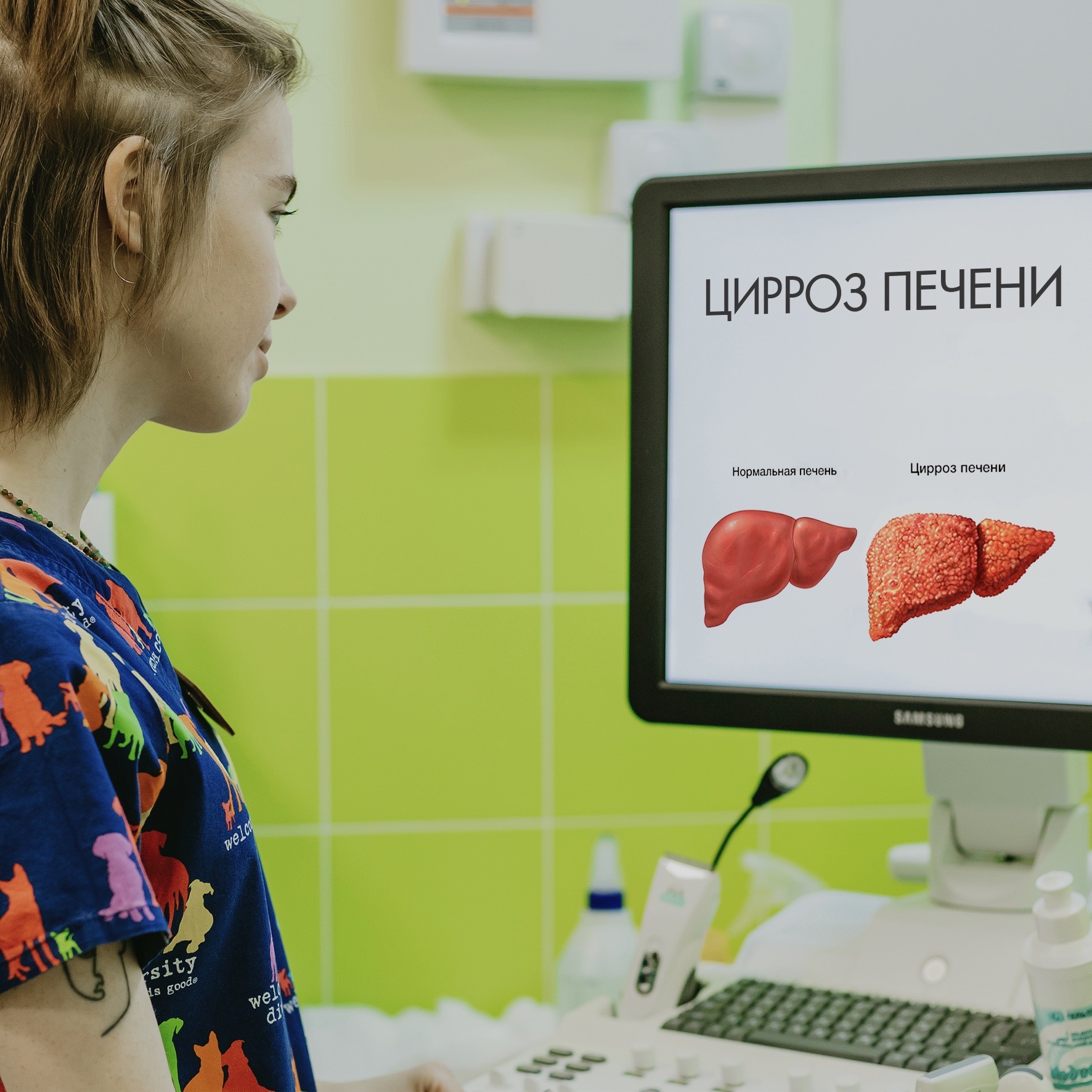 Цирроз печени у домашних животных  - блог ТерраВЕТ - клиника 24/7