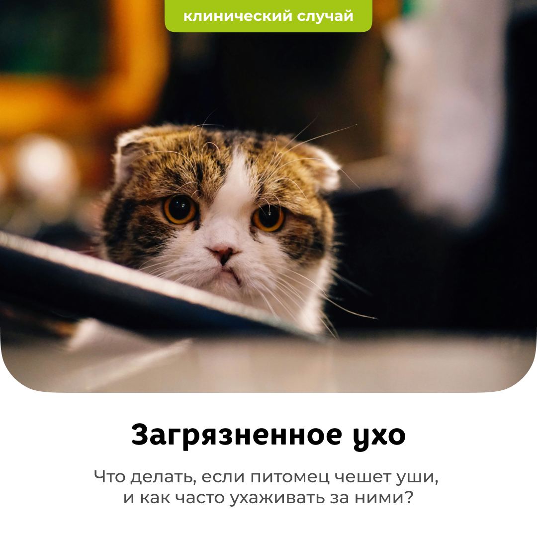 Клинический случай: проблемы с ушами
