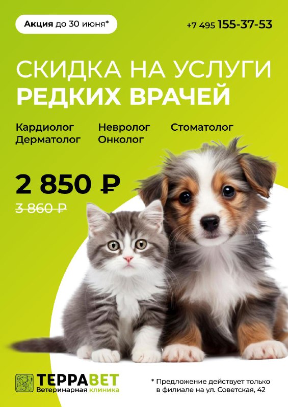 Акция июнь