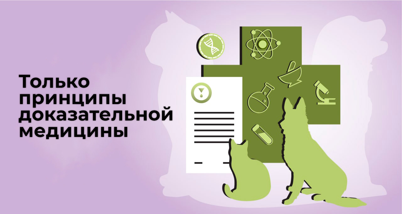 Принципы доказательной медицины - ТерраВЕТ