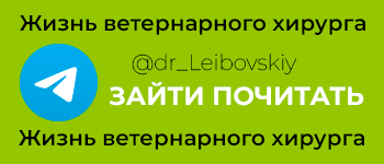 Жизнь ветеринарного хирурга ТерраВЕТ в Телеграм
